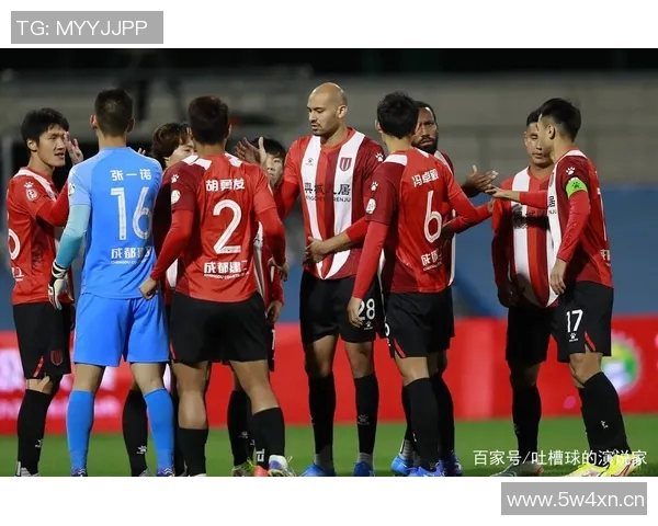 杭州羽毛球队整体表现分析：压制对手与失误的双重影响